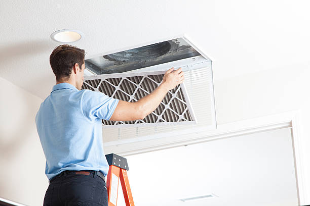 Best Air Filters and Purifiers in Clinton, LA
